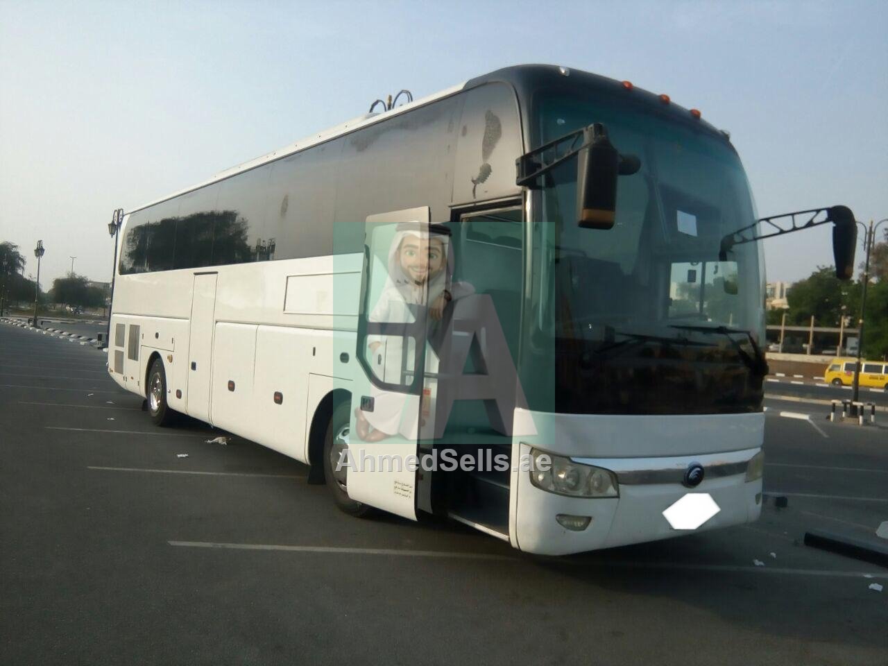 Image 8