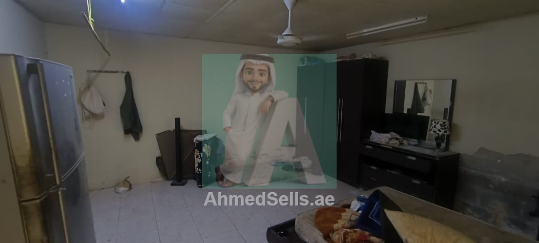 Al Shams Farm / nursery business-for-sale