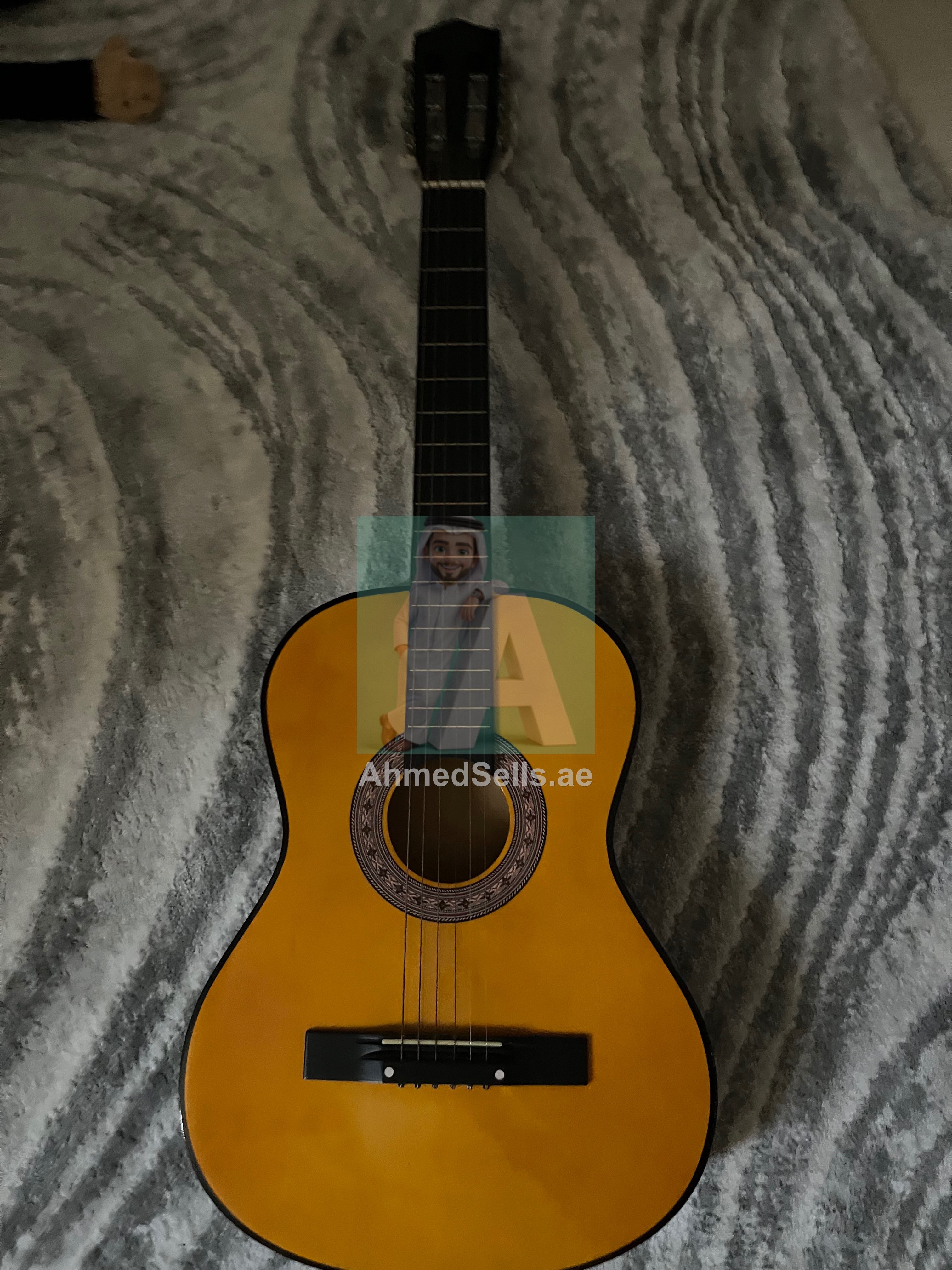 Guitar