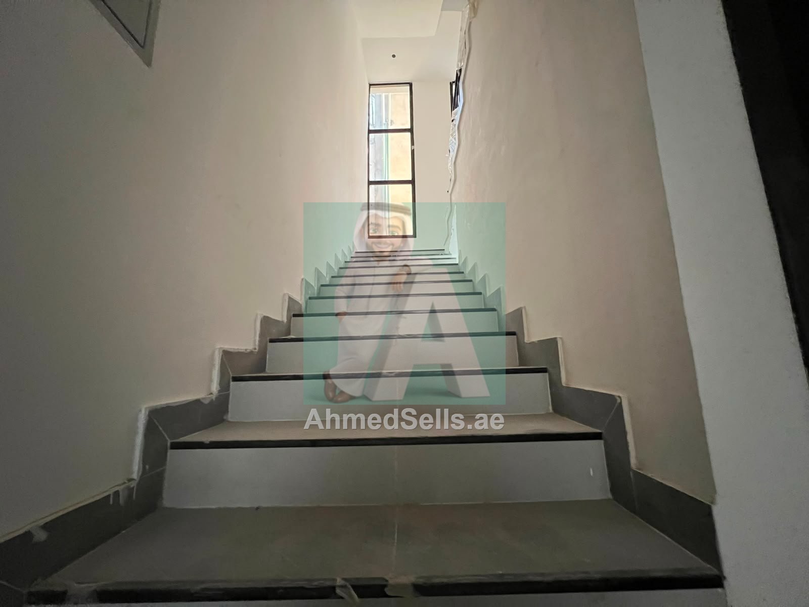 Image 7